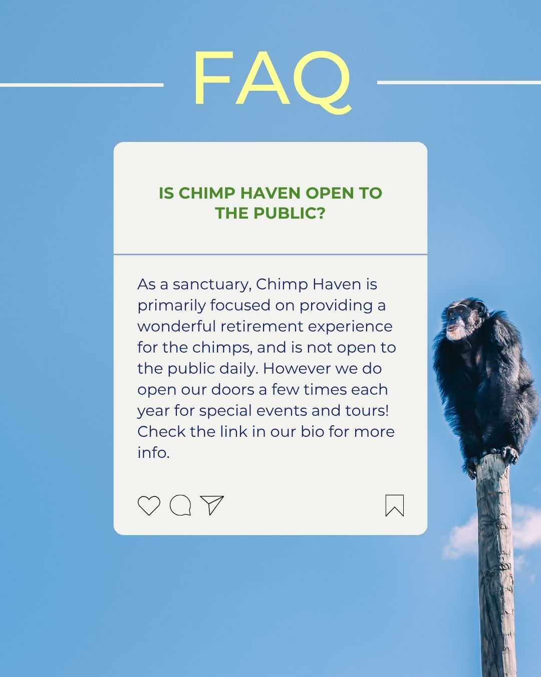 We get lots of questions about the sanctuary on social media — here are the most common ones! Have more? Leave them in the comments below 💚