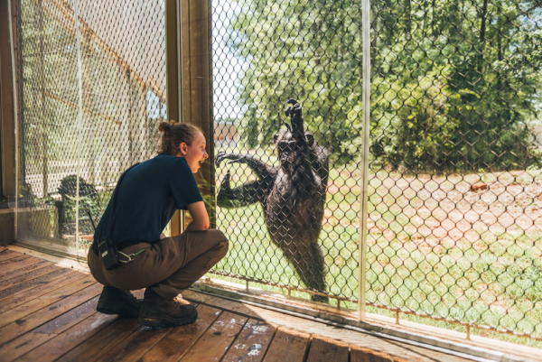 schedule a tour staff on pavillion