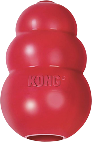 Kong Dog Toy
