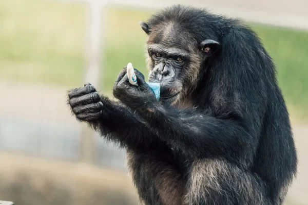Nichole playing with a scrub brush