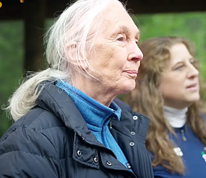 Dr. Jane Goodall, DBE